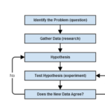 graphic illustrating the scientific method